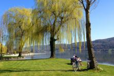 Pedalare senza bagagli - Tour in bicicletta Lago di Costanza - Untersee
