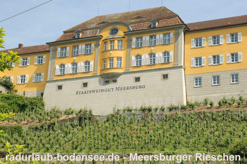 Radurlaub Bodensee - Staatsweingut Meersburger Rieschen