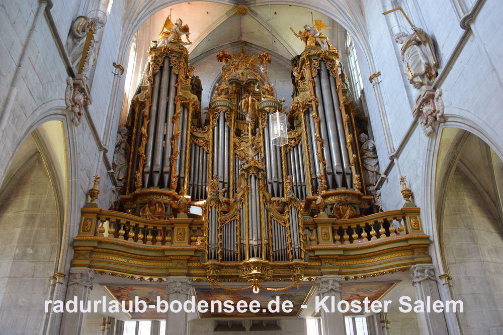 Radurlaub am Bodensee - Schloss Kloster Salem - Orgel